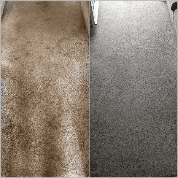 Carpet cleaning before and after results