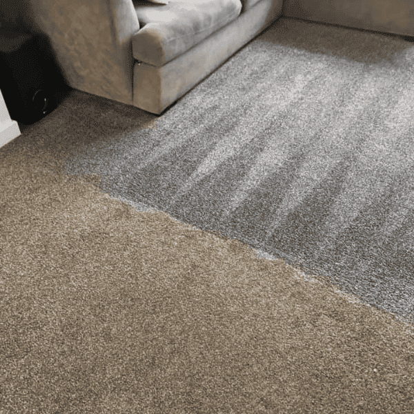 Carpet cleaning before and after results