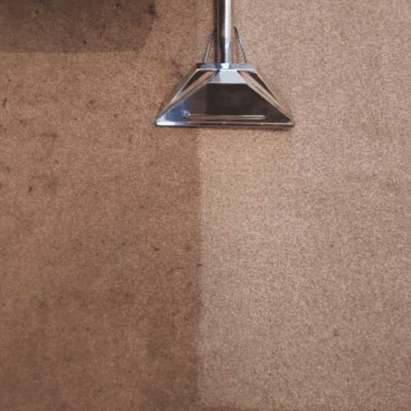 Carpet cleaning before and after results