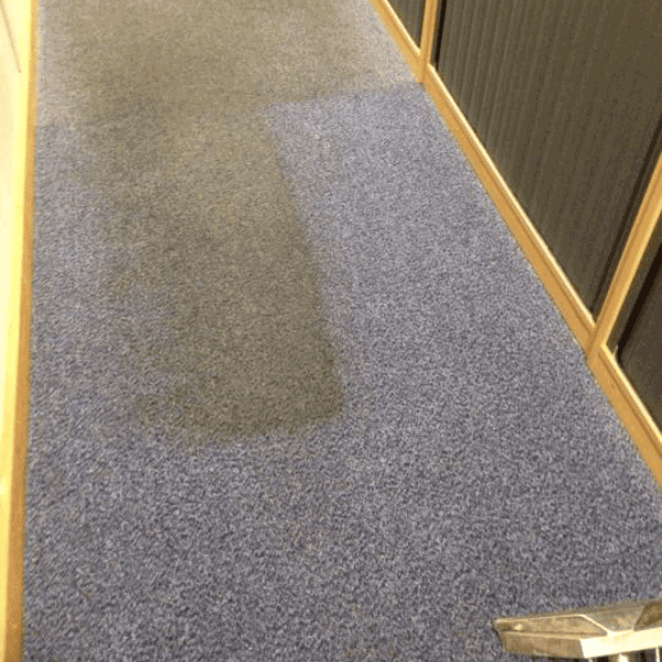 Professional carpet cleaning in East Kent by Kings 5 Star Cleaning